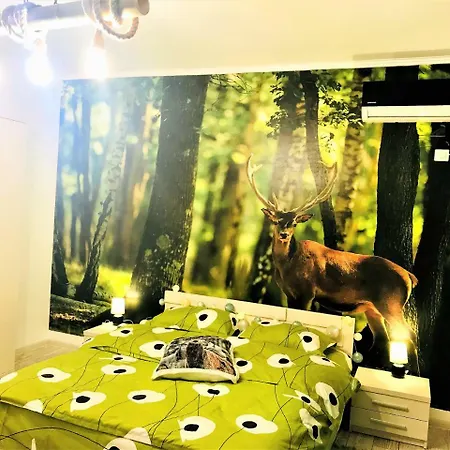 Nature Escape Studio